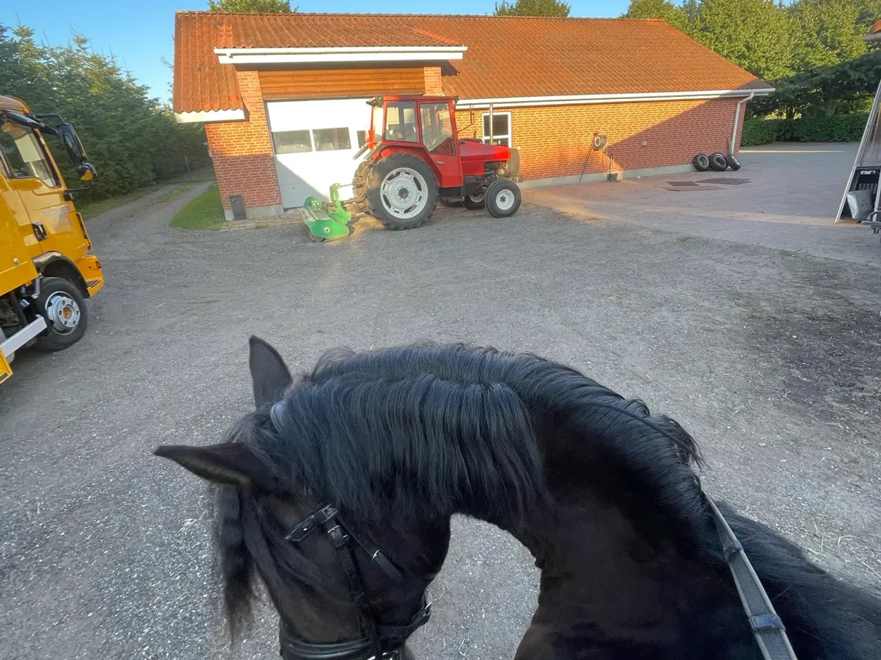 Billede 3 - ✨smuk 6 års hoppe tilsalg✨