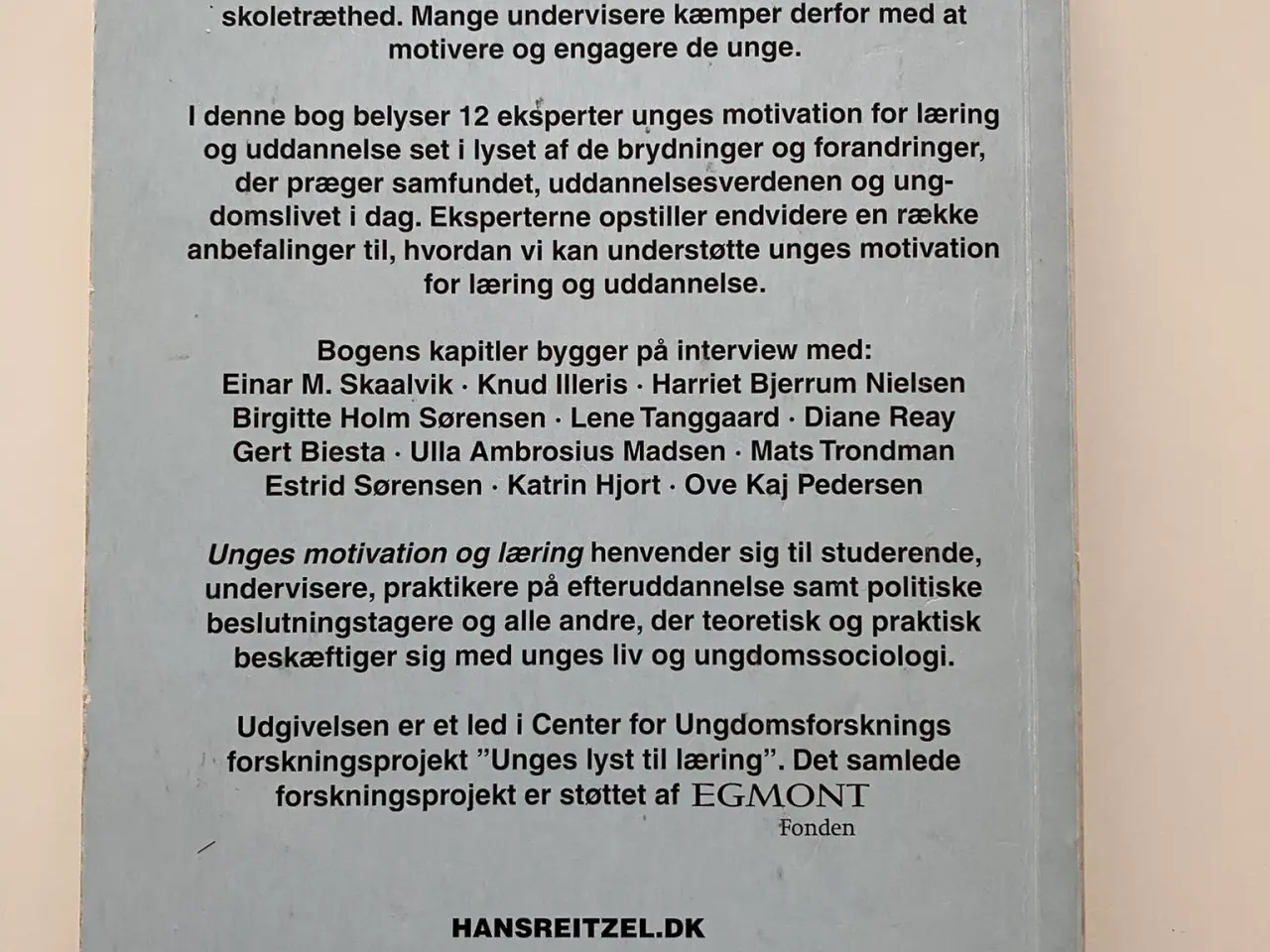 Billede 2 - Unges motivation og læring 