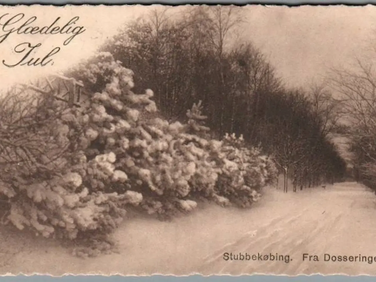Billede 1 - Stubbekøbing - Glædelig Jul - Fra Dasseringen - Postkort - Brugt