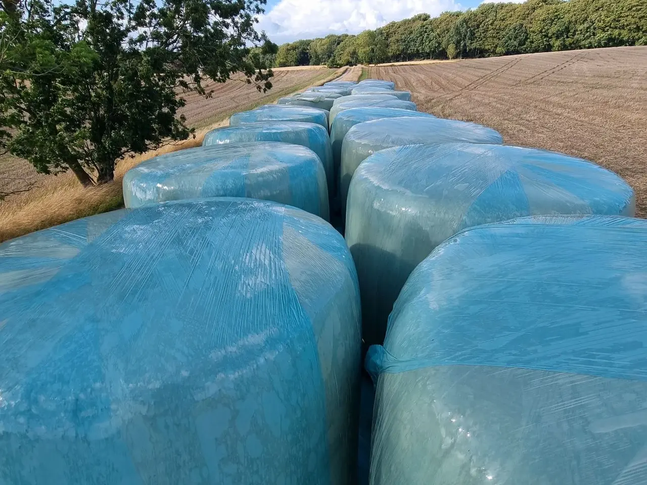 Billede 2 - Hvede wrap