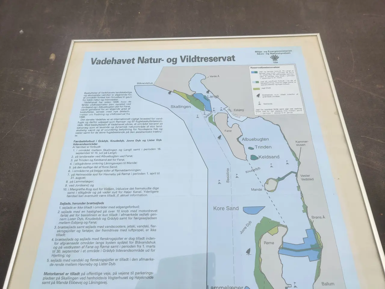 Billede 3 - Plakat VADEHAVET