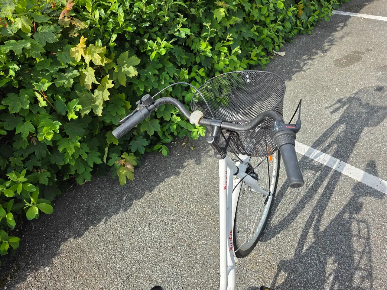 Billede 8 - Pigec ykel 