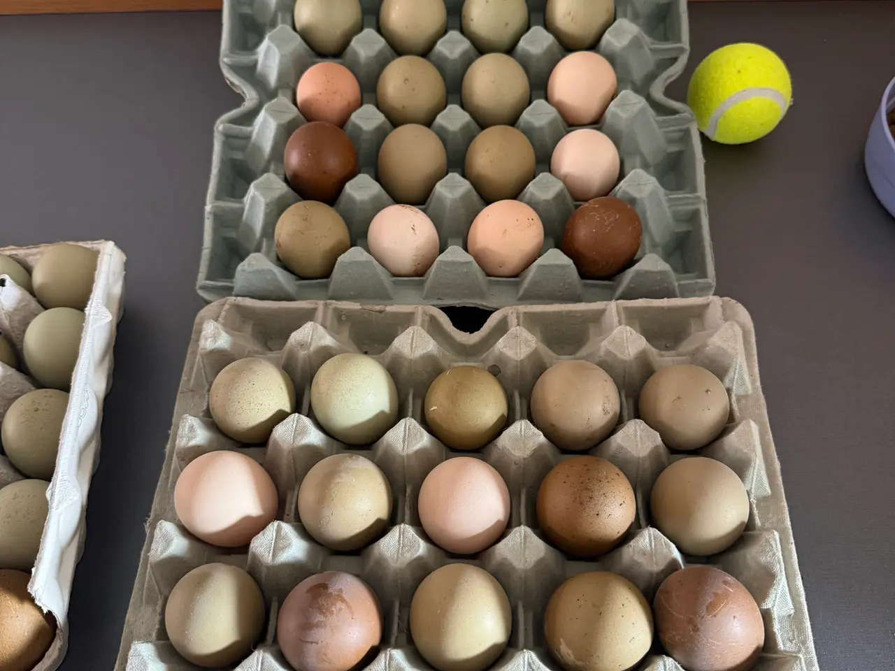 Billede 3 - Spise æg 🥚 