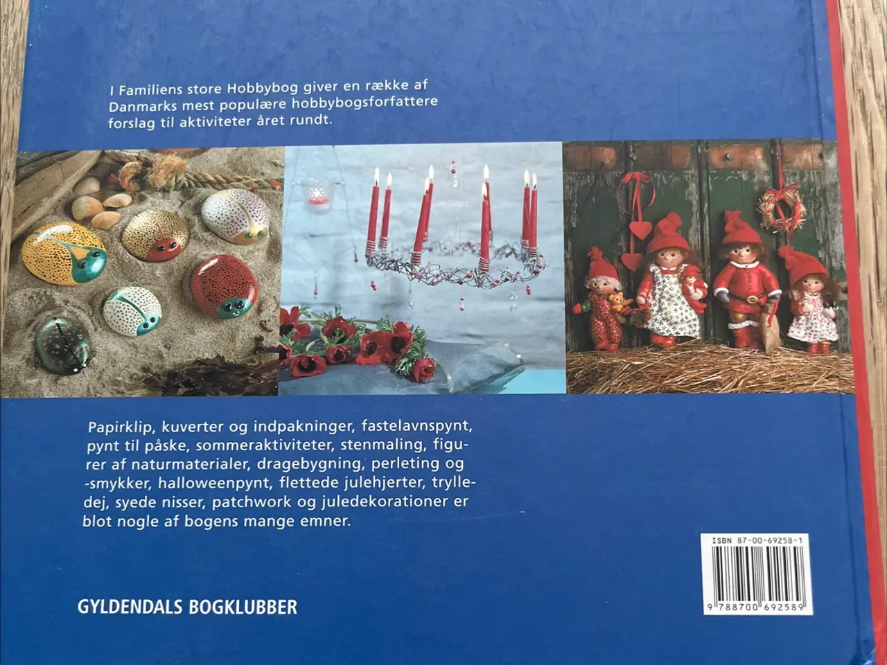 Billede 2 - Familiens store hobbybog, Gyldendal
