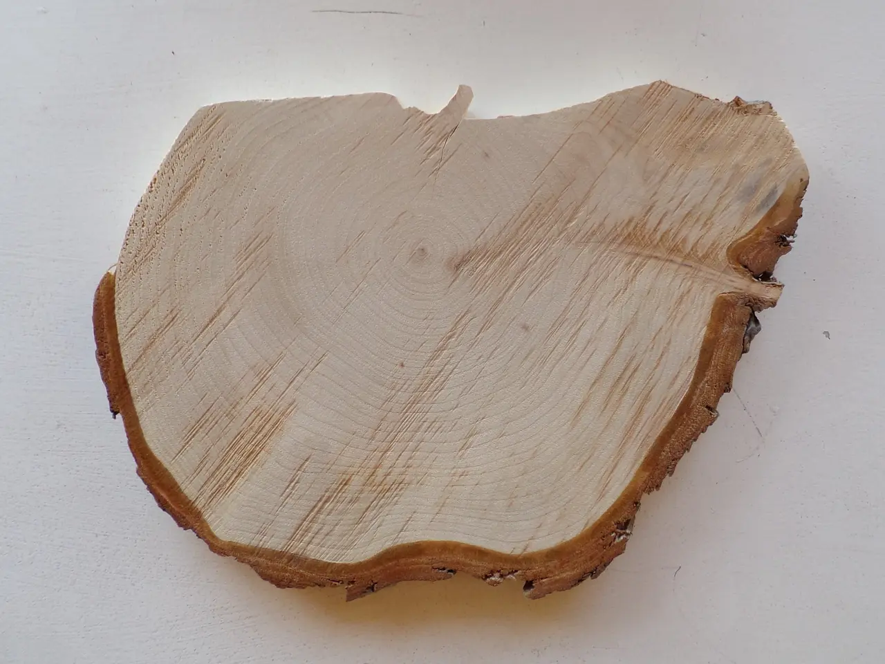 Billede 3 - Thuja Træskive med bark - 29,5 cm lang