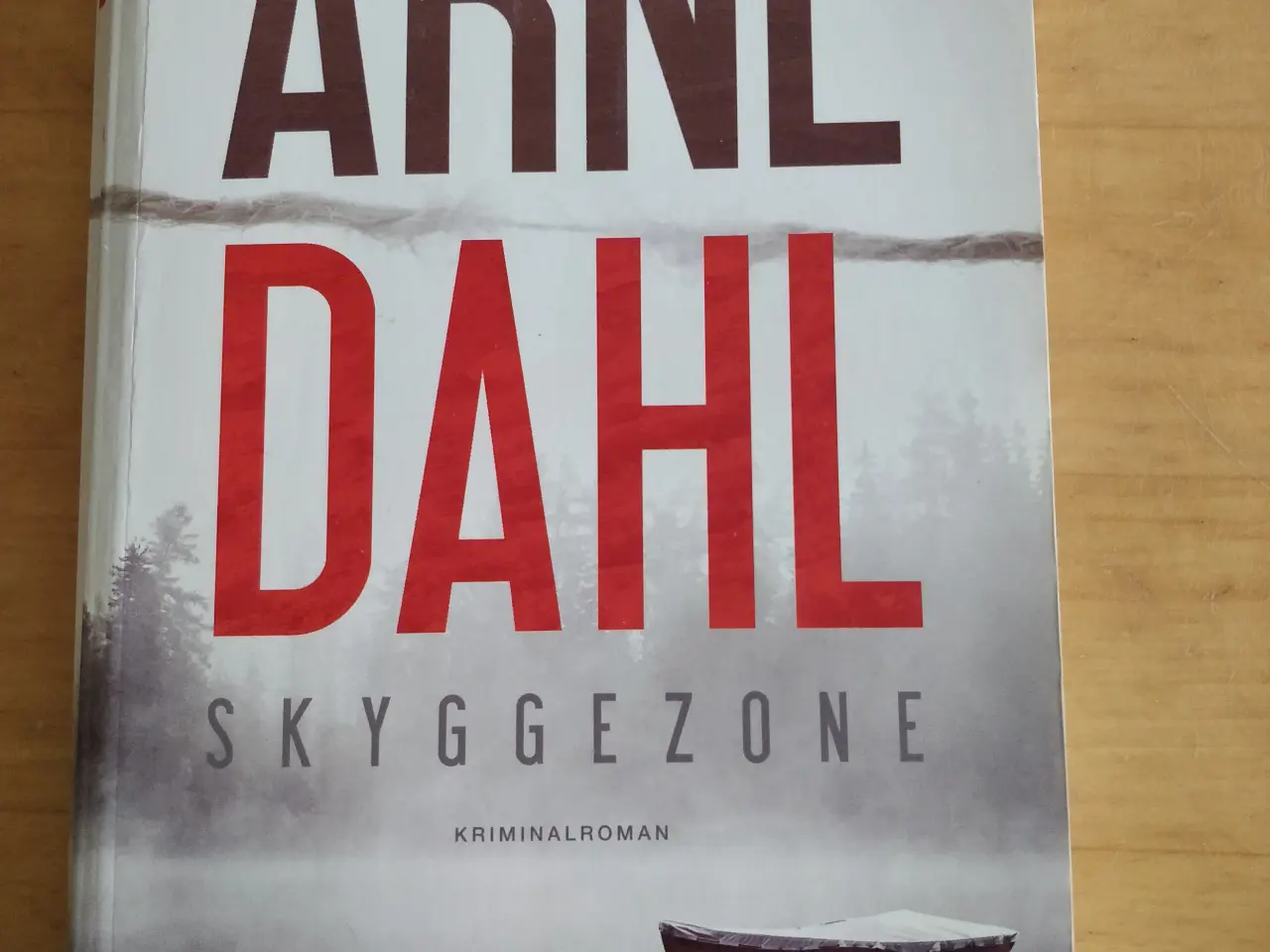 Billede 1 - Skyggezone, Arne Dahl
