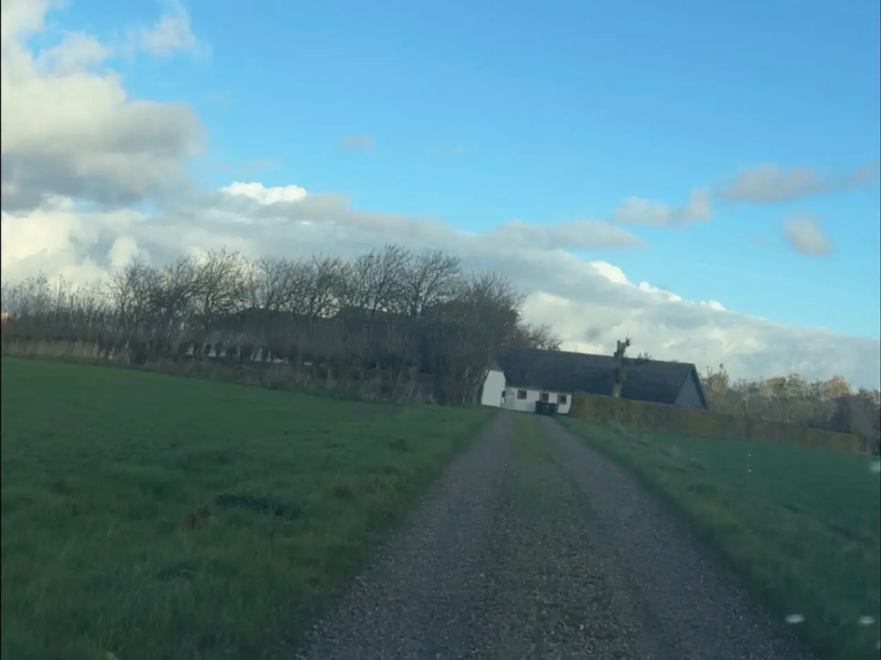 Billede 2 - Nedlagt landbrug uden jord