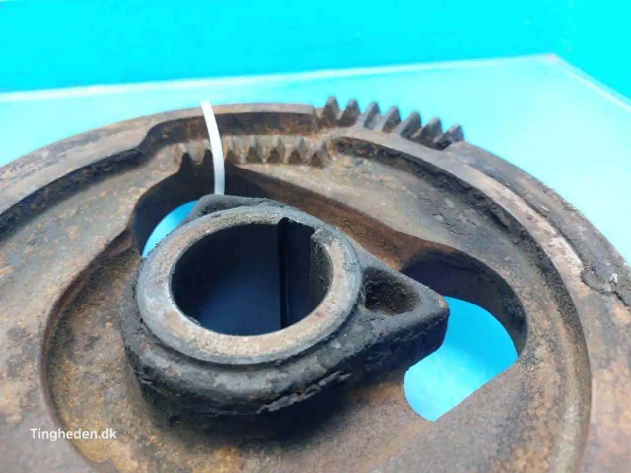 Billede 10 - New Holland 4860 Kamskive 84019174
