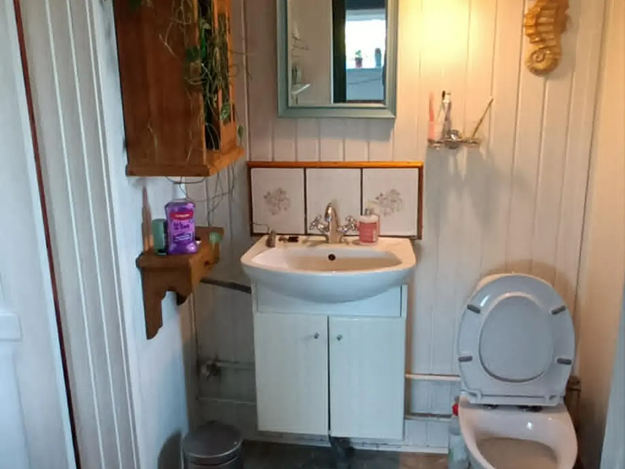 Billede 4 - Rummelig og hyggelig kolonihave sælges.