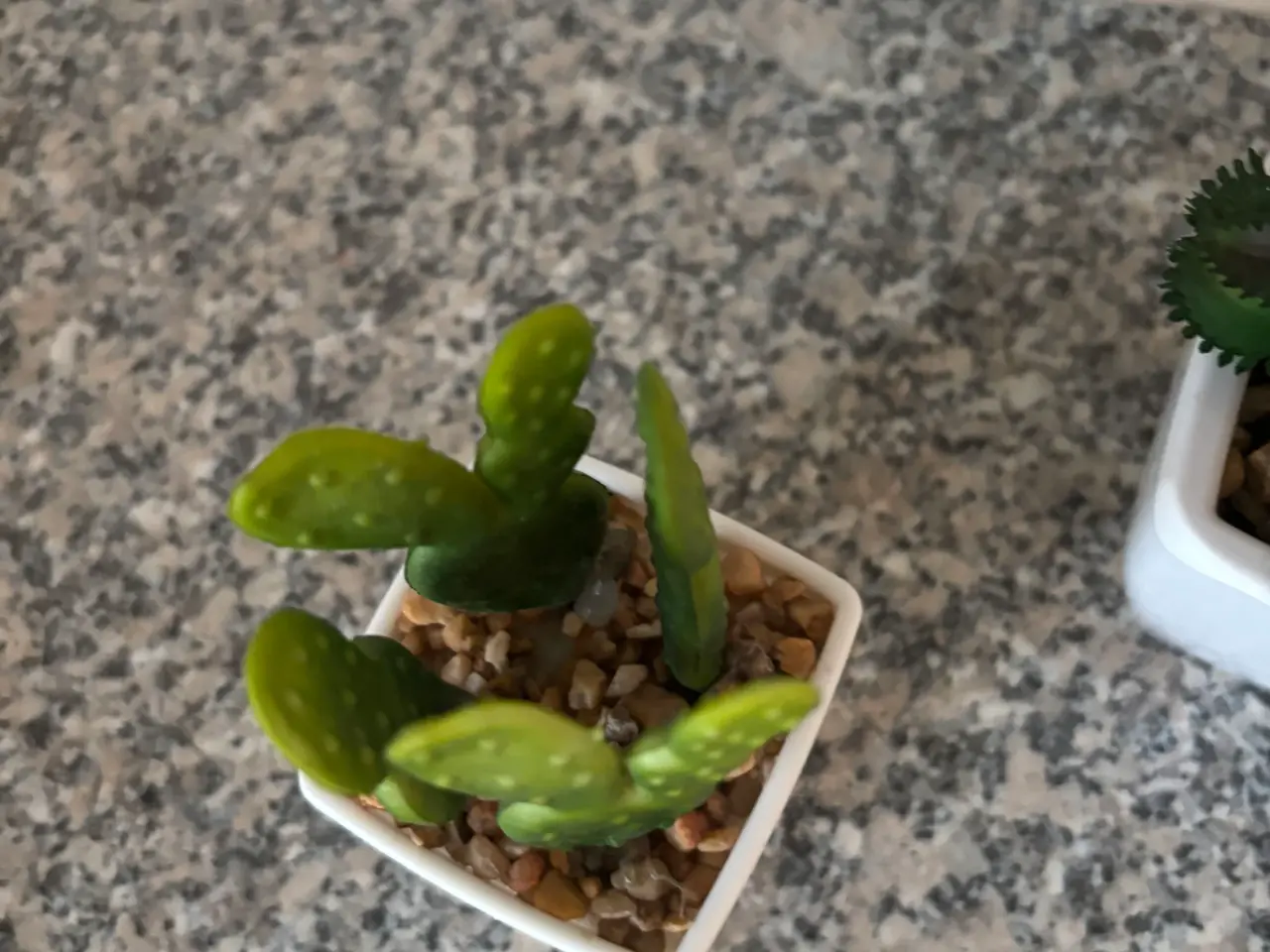 Billede 17 - 4 små plastik planter 