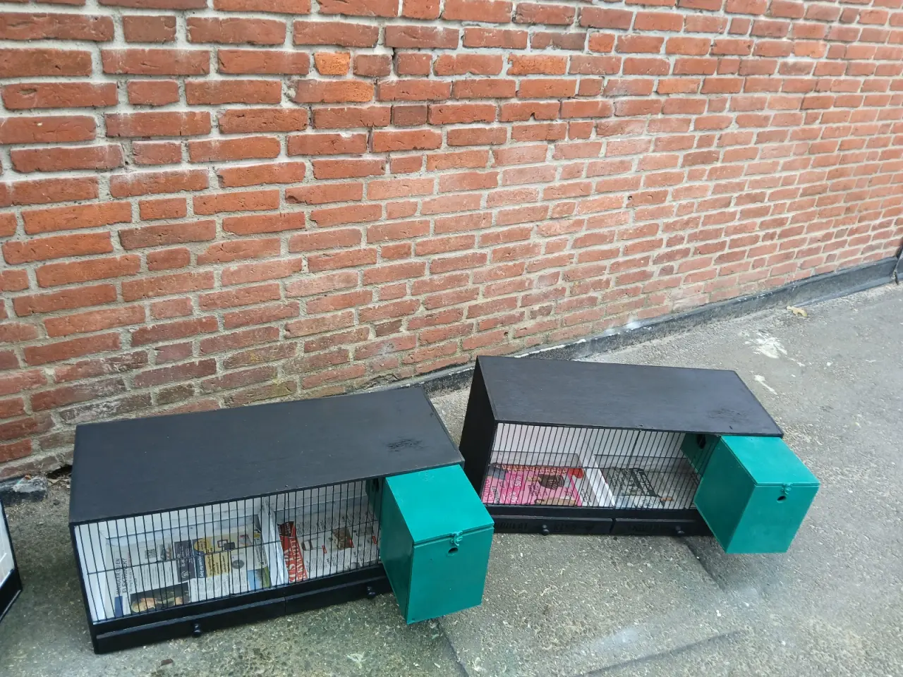Billede 1 - 2 stk ynglebuer brugt til engelske undulater