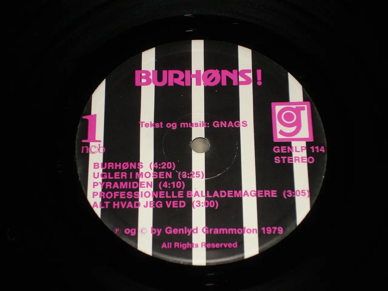 Billede 5 - (Sender gerne) Gnags - Burhøns