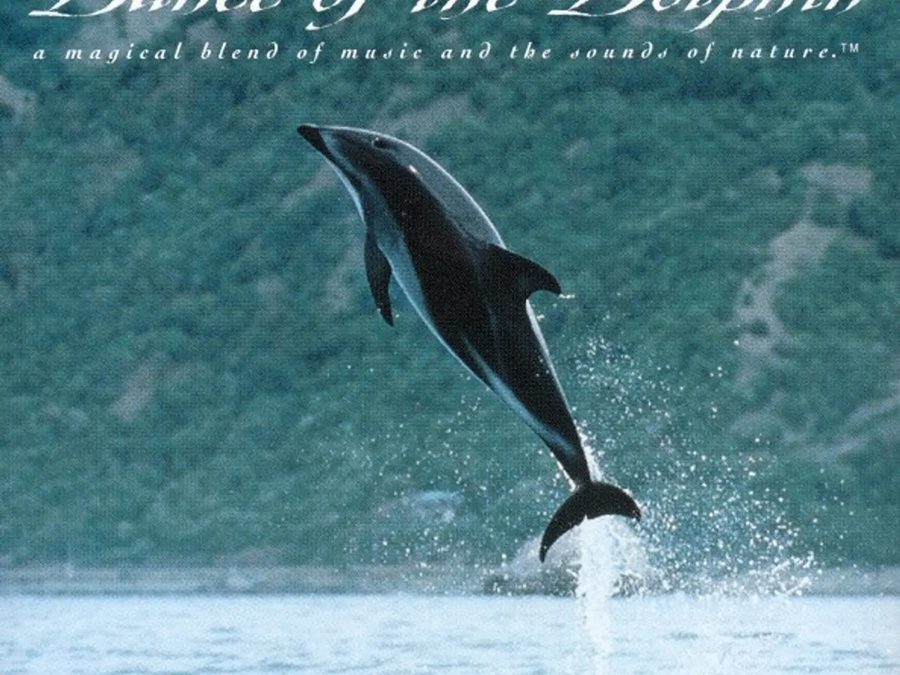 Billede 1 - Rick Rhodes – Dance Of The Dolphin – CD