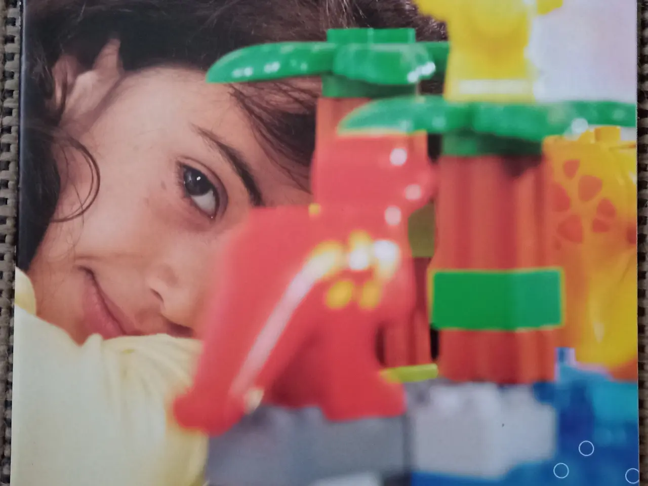Billede 2 - Lego Bæredygtighedsrapport 2006.