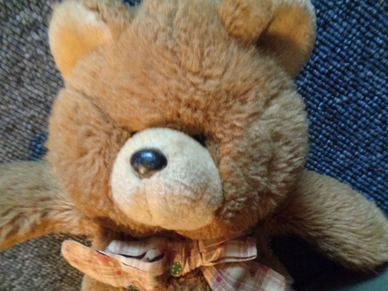Billede 3 - Kramme Bamse