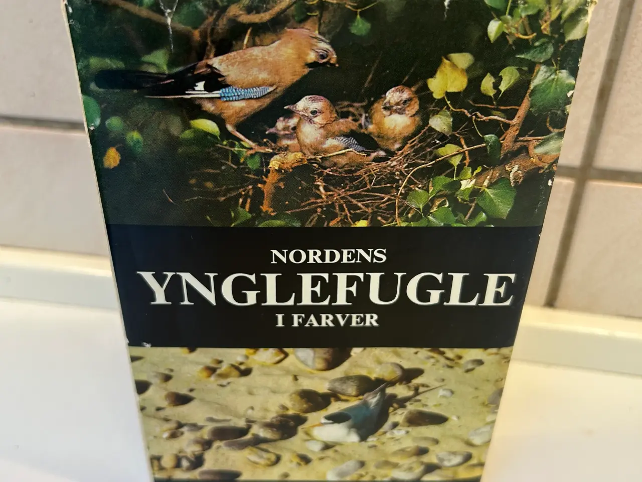 Billede 2 - 3 stk. Fugle bøger