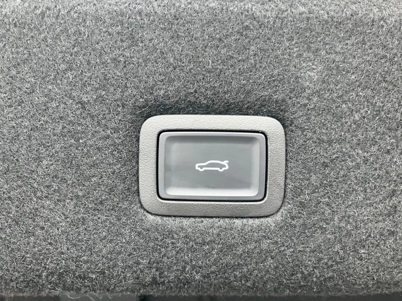 Billede 9 - Hongqi EH7 111 Exclusive