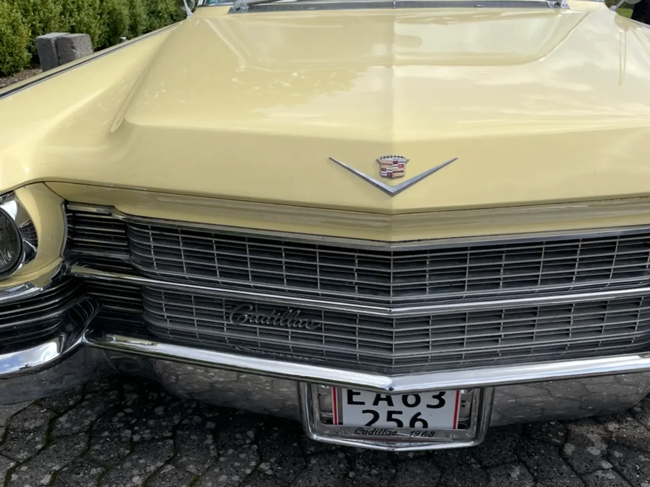 Billede 19 - Cadillac de vilde evt bytte