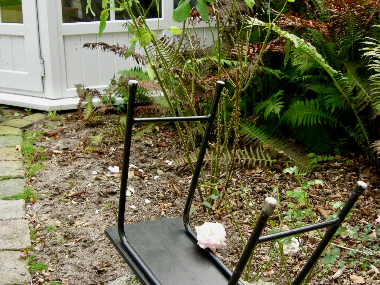 Billede 7 - SKAMMEL - Blomsterskammel - Drivhusskammel