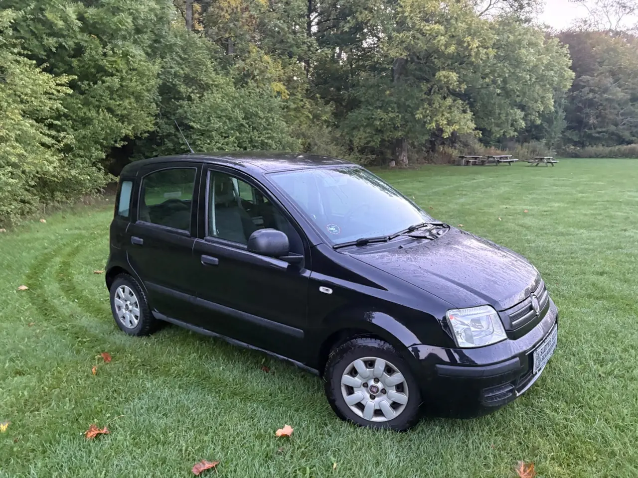 Billede 7 - Fiat Panda 1,2 69 Dynamic