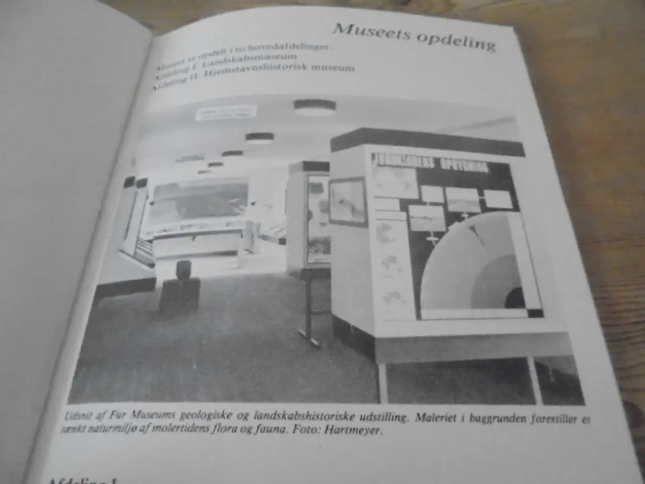 Billede 3 - Fur museum – udgivelse fra ca. 1980