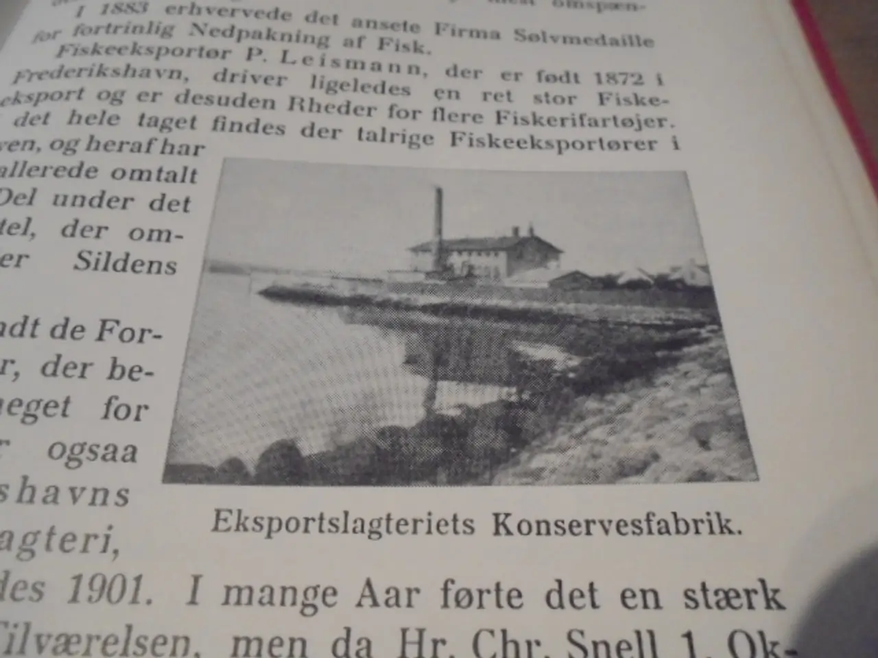 Billede 7 - En byhistorie – Frederikshavn ved århundredskiftet