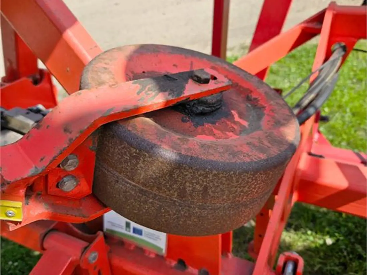 Billede 17 - Maschio DSD-600 - radrenser / row cultivator 12 m