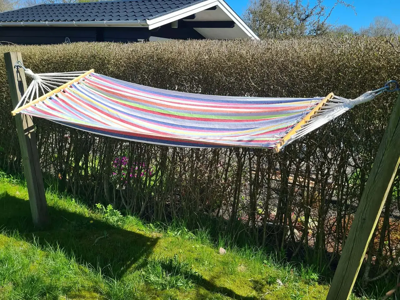 Billede 5 - Kolonihave i Herning 