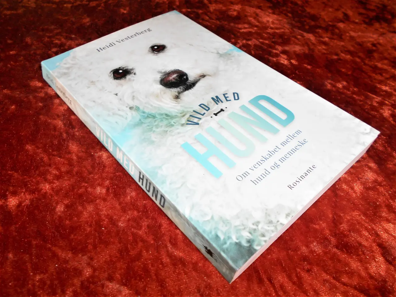 Billede 1 - Vild med hund, Heidi Vesterberg