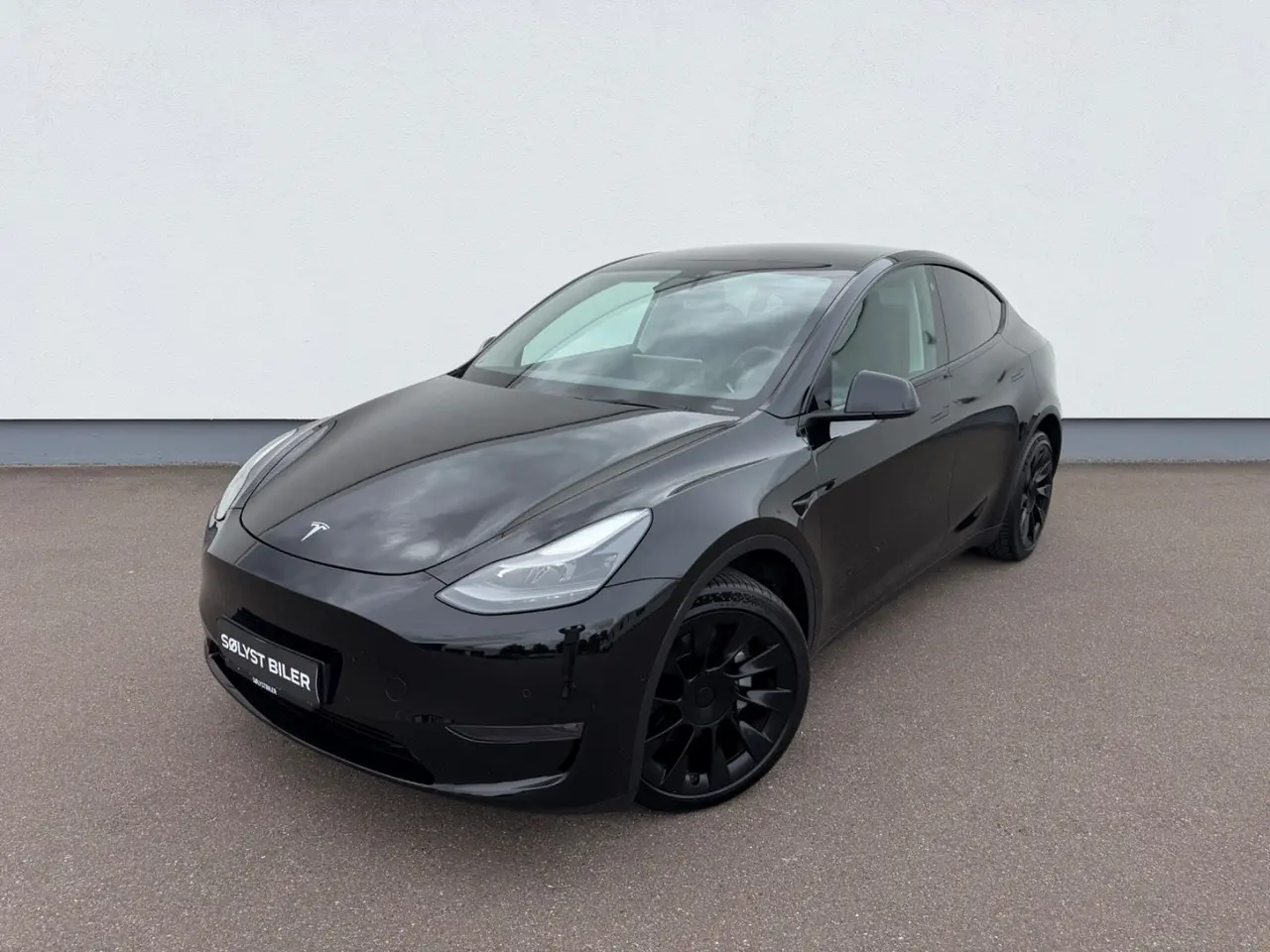 Billede 1 - Tesla Model Y Long Range AWD