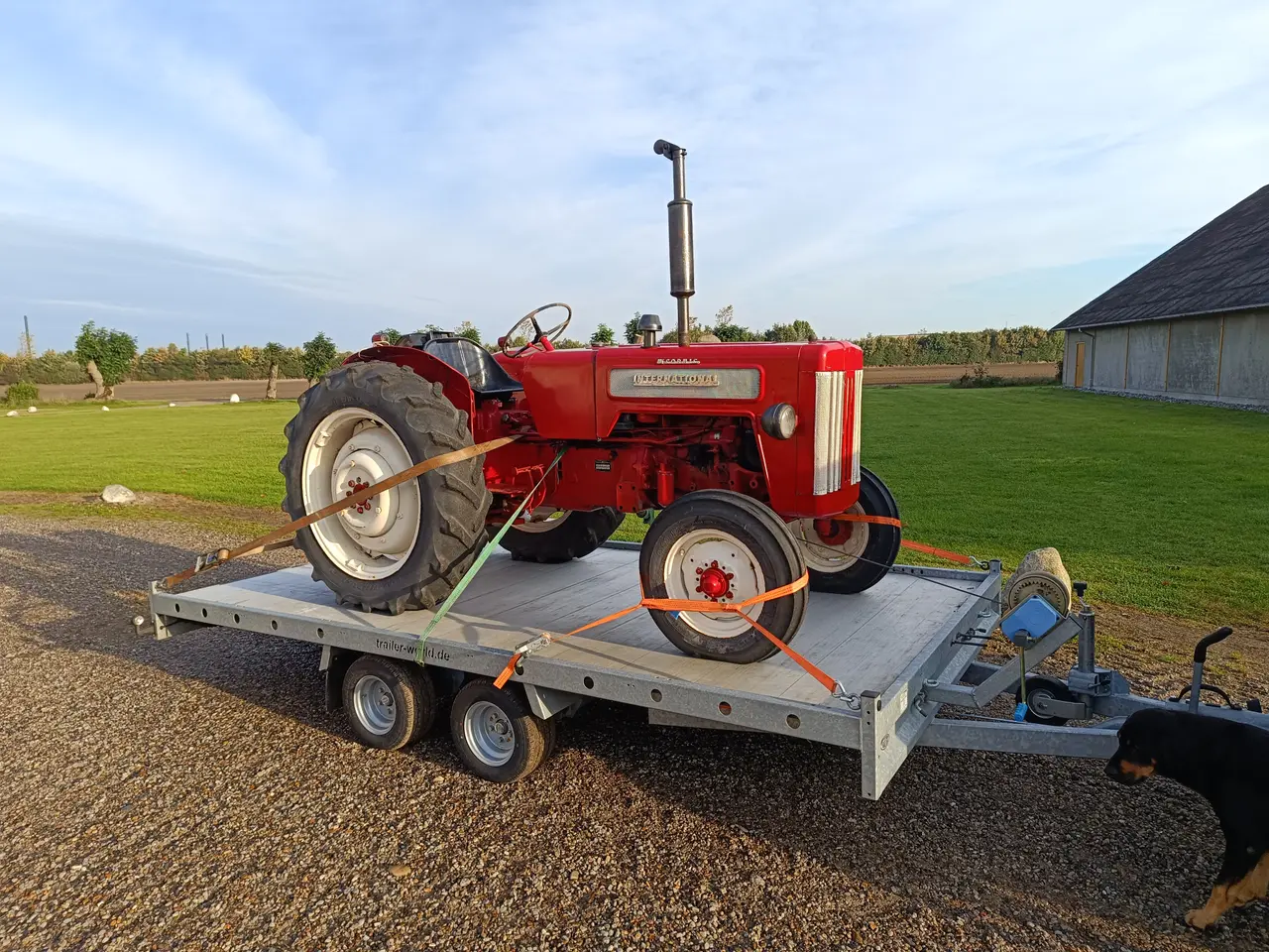 Billede 18 - 1964 IH B-414 diesel veterantraktor