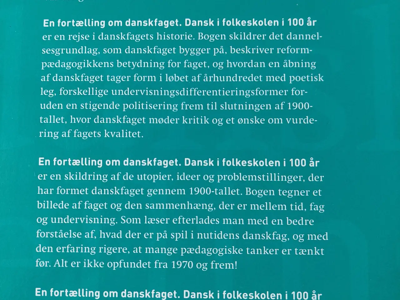 Billede 3 - EN FORTÆLLING OM DANSKFAGET