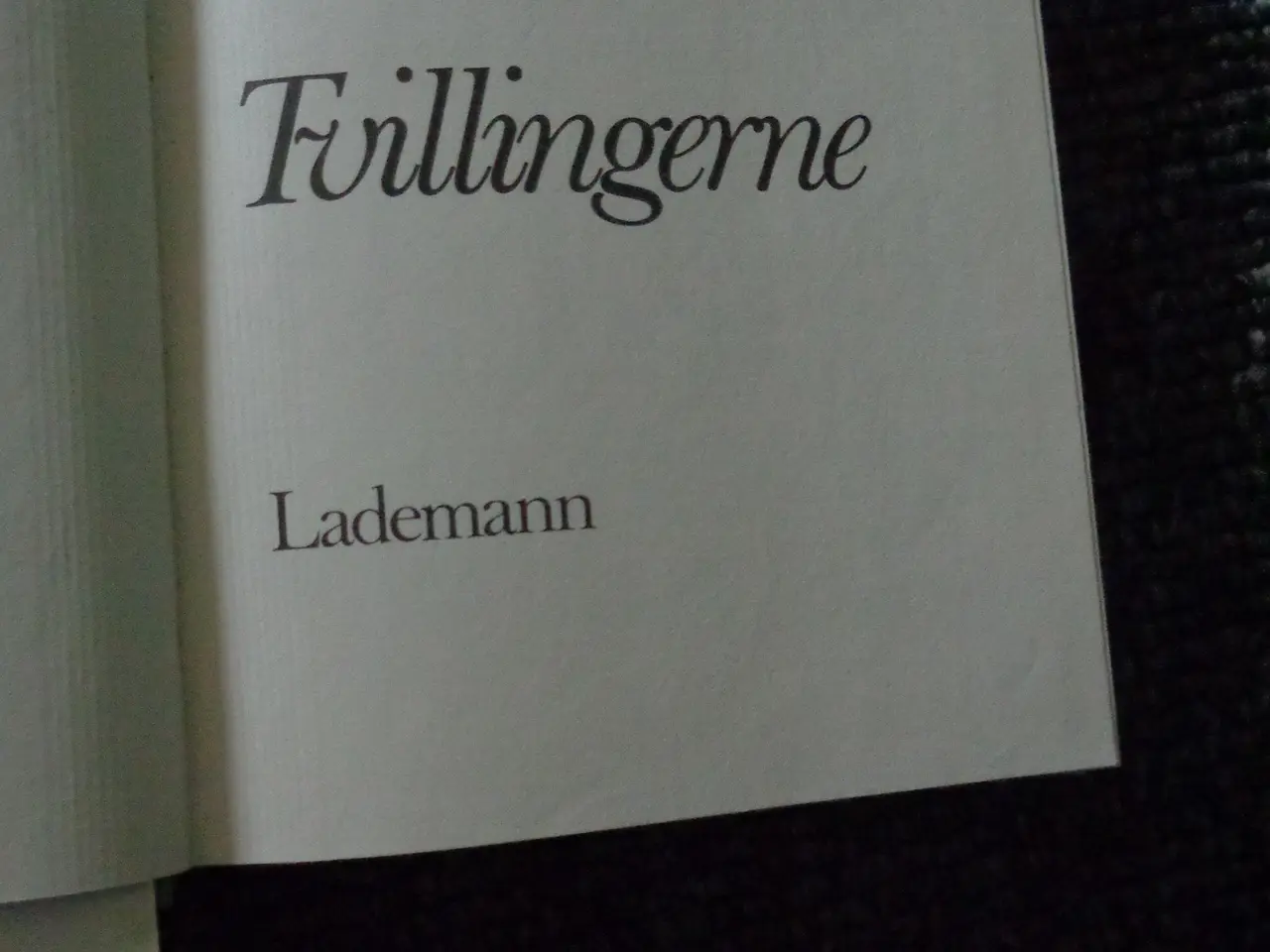 Billede 3 - Tvillingerne