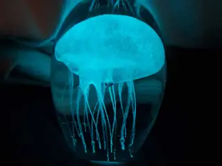Glaskunst