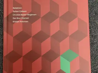 Den akutte patient af Torben Callesen m.fl.