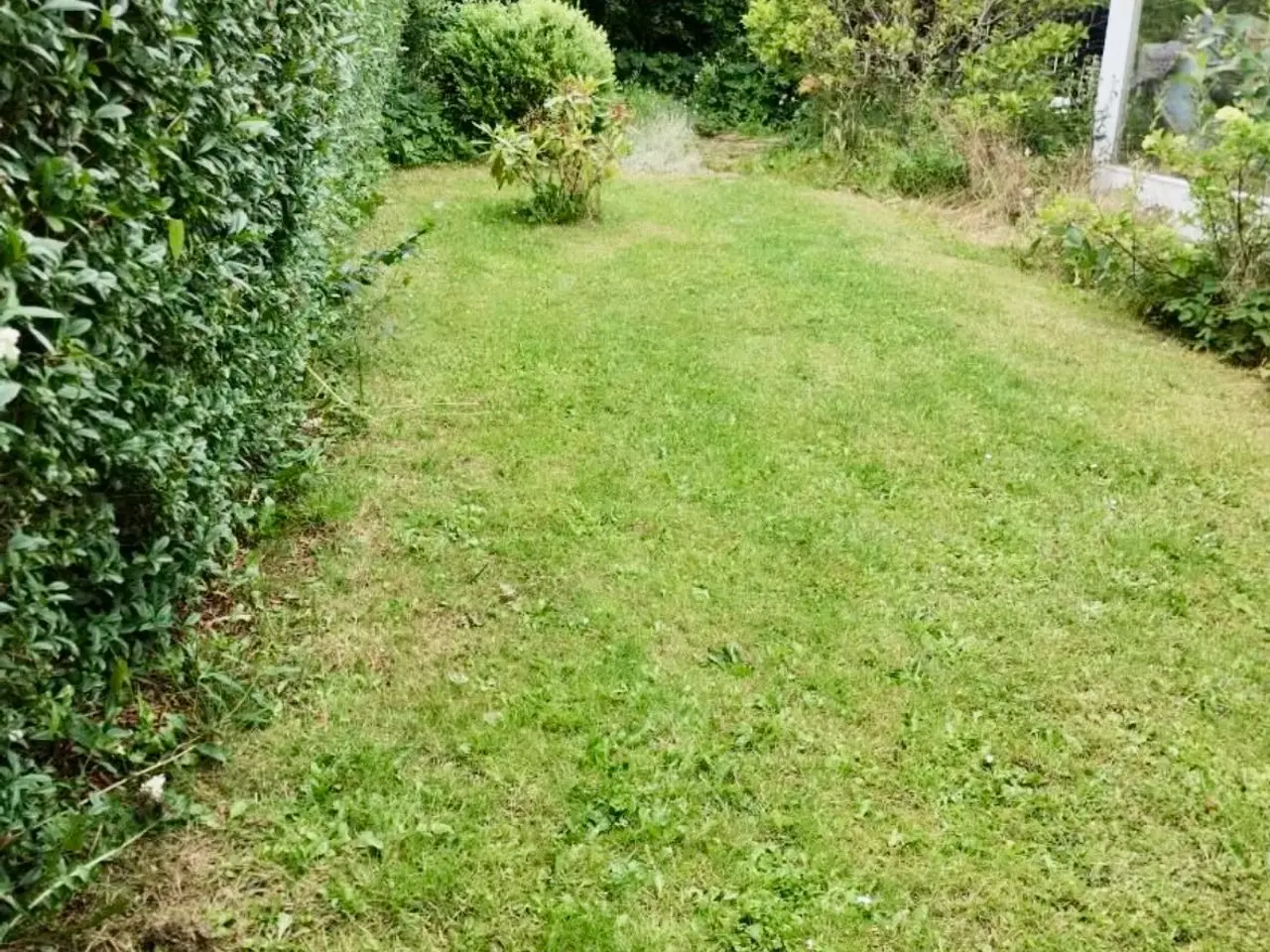 Billede 17 - Kolonihave Køge