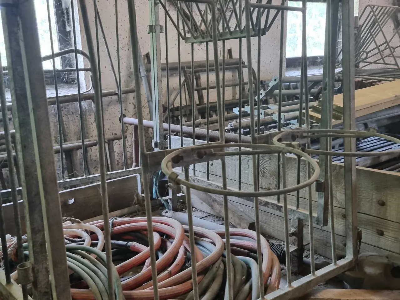 Billede 2 - Kalve-box  Sælges - 250