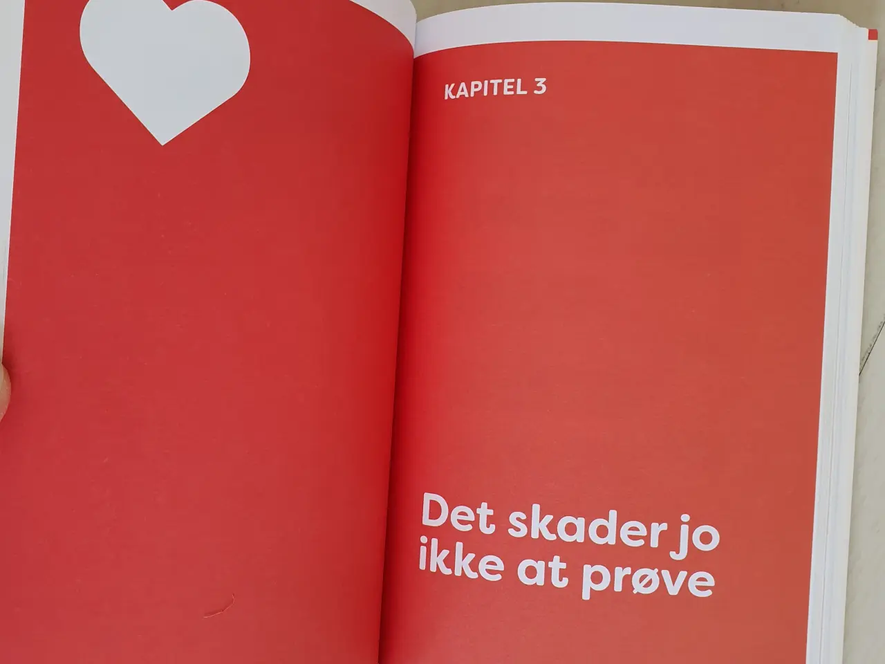 Billede 2 - Den Store Tinderbog