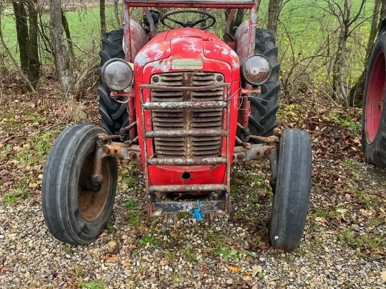 Billede 3 - Massey Ferguson 35 benzin