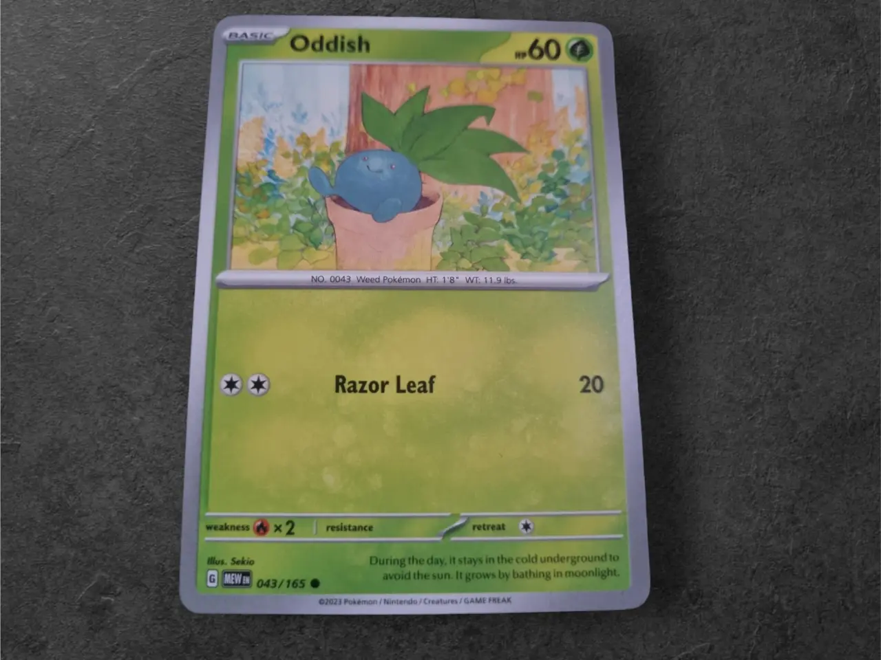 Billede 19 - Annonce 635 - Pokemon