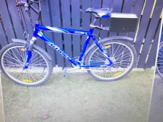Mautenbike