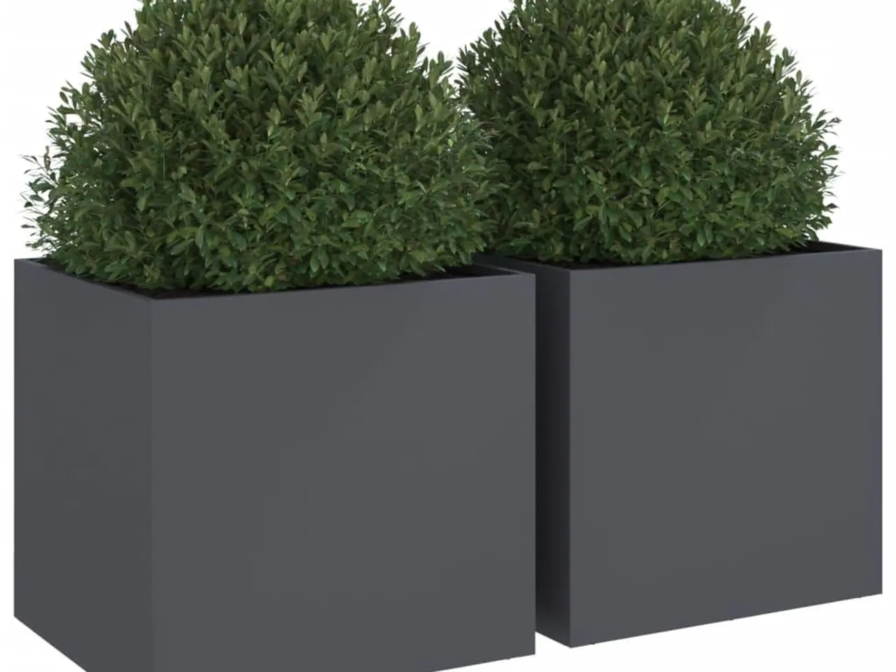 Billede 4 - Plantekasser 2 stk. 49x47x46 cm stål antracitgrå