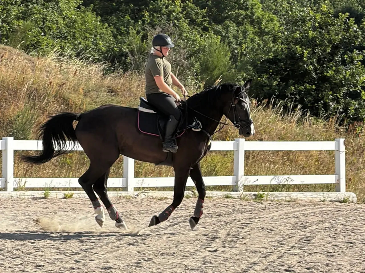 Billede 3 - 5 års hoppe efter Blue horse Kingston 