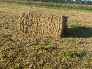 Tørt hest hø