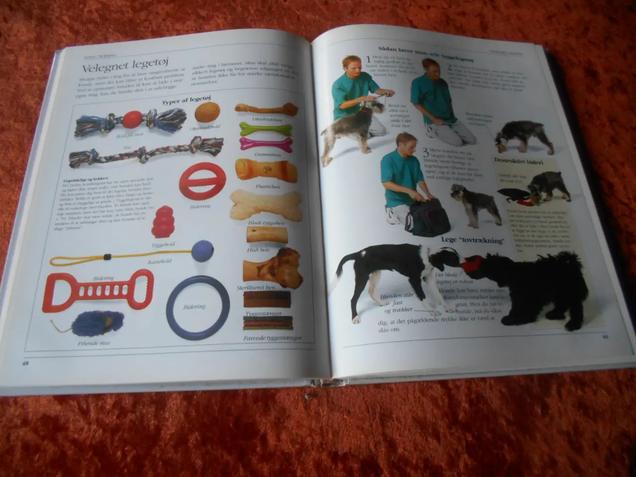 Billede 2 - Håndbog i hundeopdragelse, Bruce Fogle