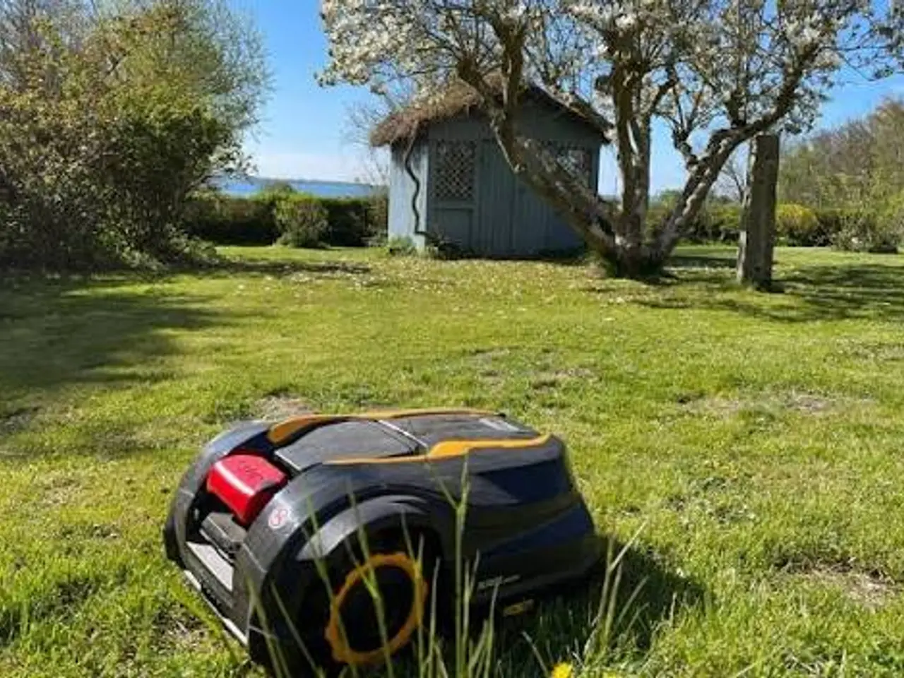 Billede 5 - ROBOTPLÆNEKLIPPER - SOM NY - SÆLGES