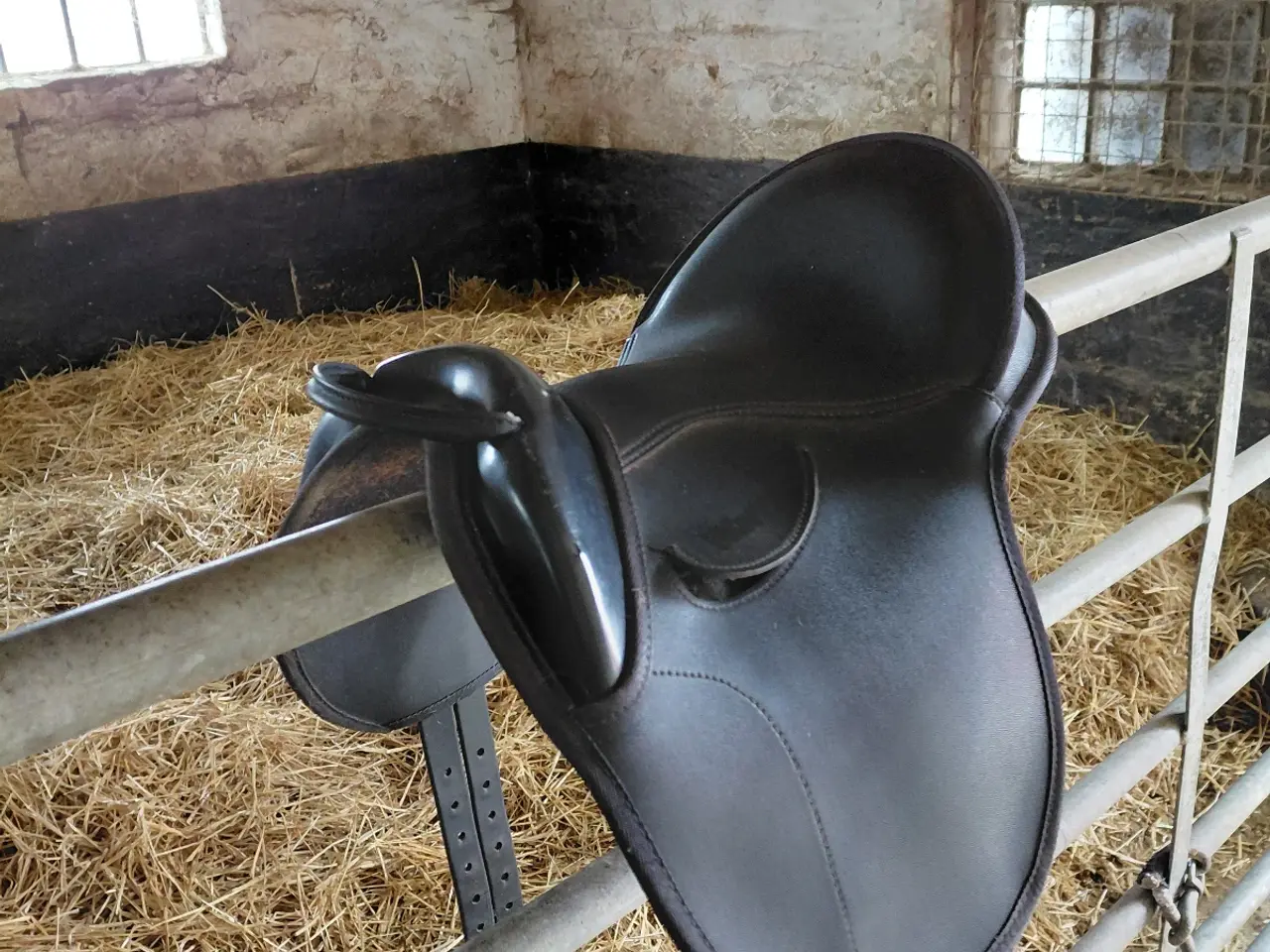 Billede 3 - Wintec ponypude