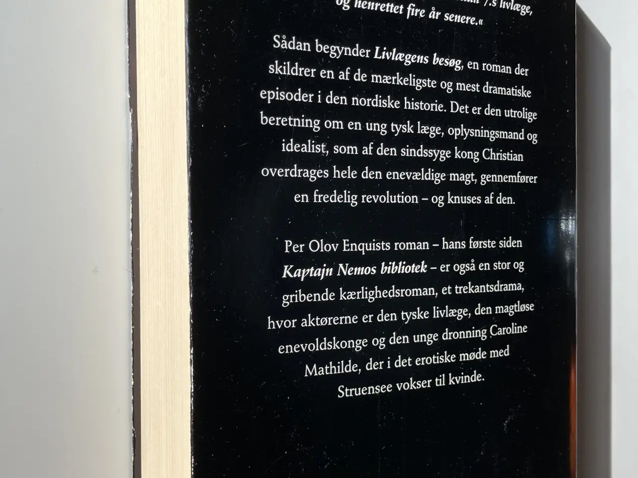 Billede 2 - Livlægens besøg. Af Per Olov Enquist