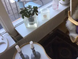 Cube designede urtepotteskjulere