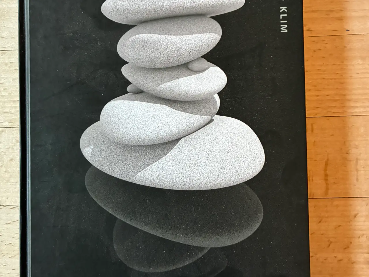 Billede 2 - Efter skælvet, Haruki Murakami